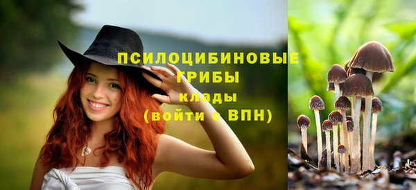 mix Ельня