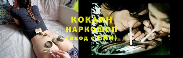mix Ельня
