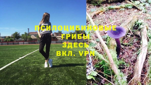 ALPHA-PVP Елабуга
