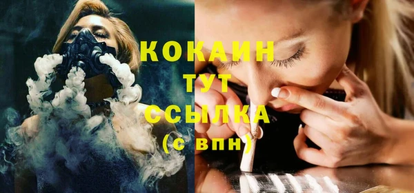 mix Ельня