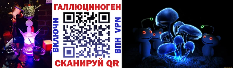 Купить где  Камбарка  Галлюциногенные грибы Psilocybe 